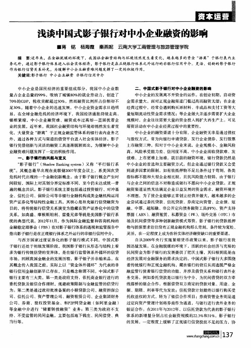 浅谈中国式影子银行对中小企业融资的影响