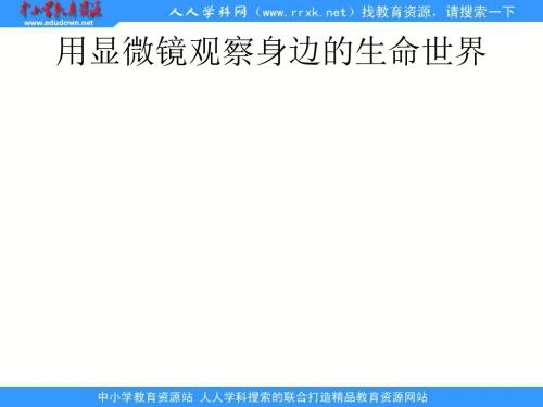 教科小学科学六下《1.5、用显微镜观察身边的生命世界(一)》PPT课件(1)