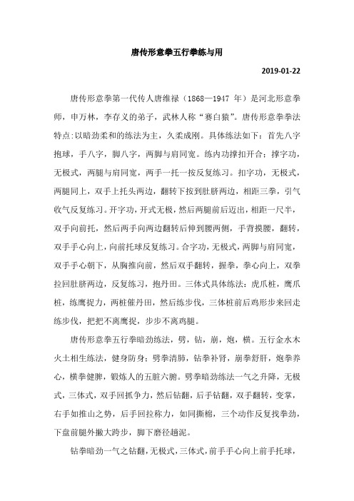 唐传形意拳五行拳练与用