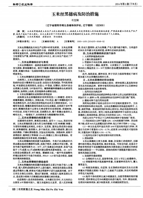 玉米丝黑穗病及防治措施