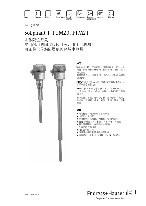 E+H音叉开关FTM20 FTM21