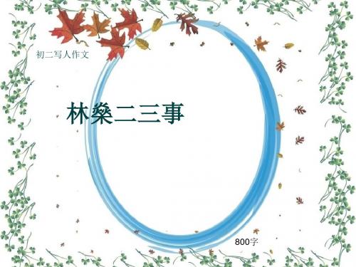 初二写人作文《林燊二三事》800字(共13页PPT)