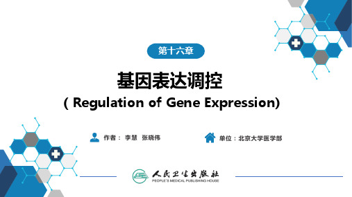 第十六章  基因表达调控