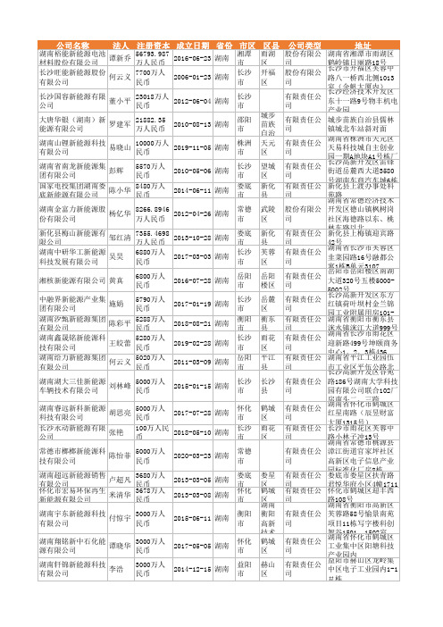 2021年湖南省新能源行业企业名录1447家