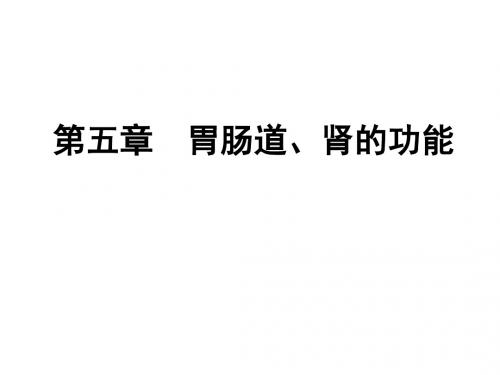 第五章 胃肠道、肾的功能 PPT课件