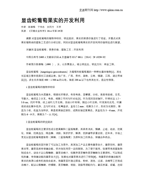 显齿蛇葡萄果实的开发利用