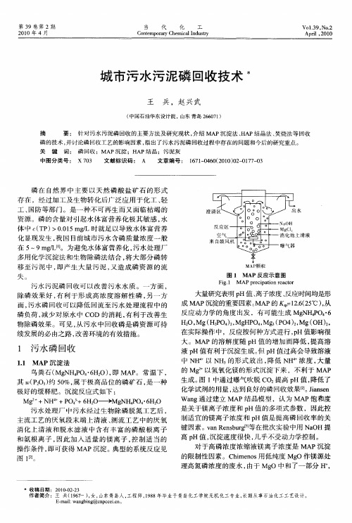 城市污水污泥磷回收技术