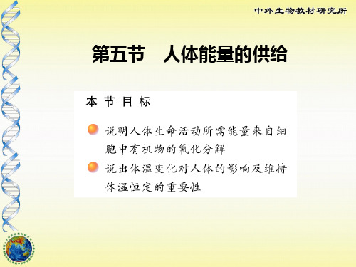 10-5人体能量的供给精品PPT课件