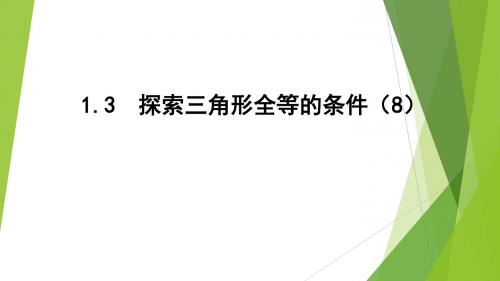 1.3探索三角形全等的条件(8)HL