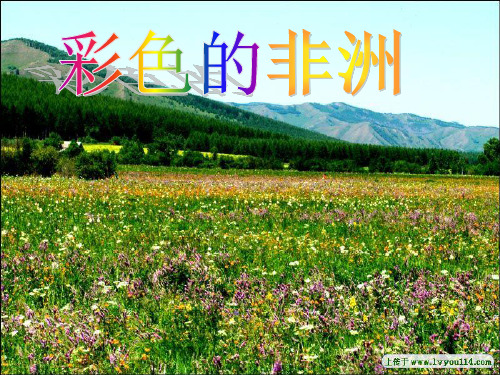 新课标人教版语文五年级下册第28课彩色的非洲ppt课件1