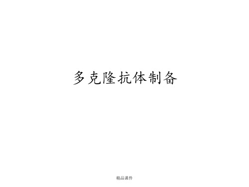 多克隆抗体制备