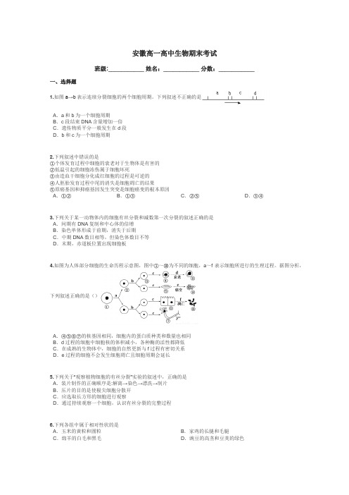 安徽高一高中生物期末考试带答案解析
