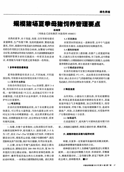规模猪场夏季母猪饲养管理要点