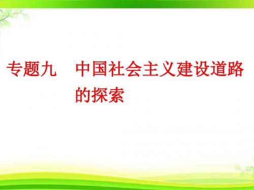 2018-2019学年高一历史学考浙江课件专题九  中国社会主义建设道路的探索
