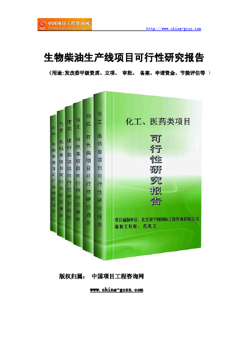 生物柴油生产线项目可行性研究报告(专业经典案例)
