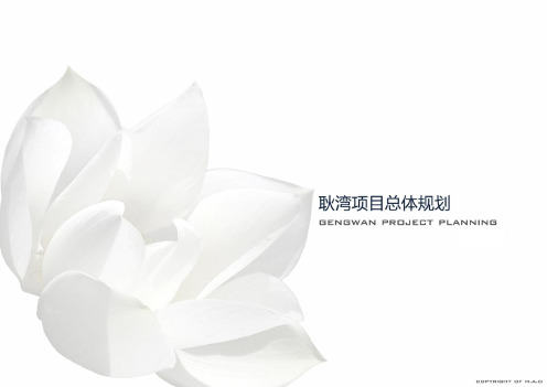 耿湾项目总体规划