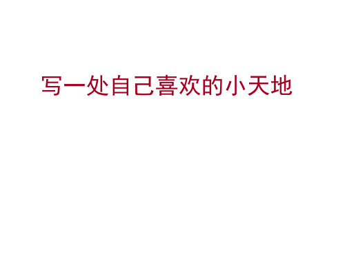 我喜欢的小天地
