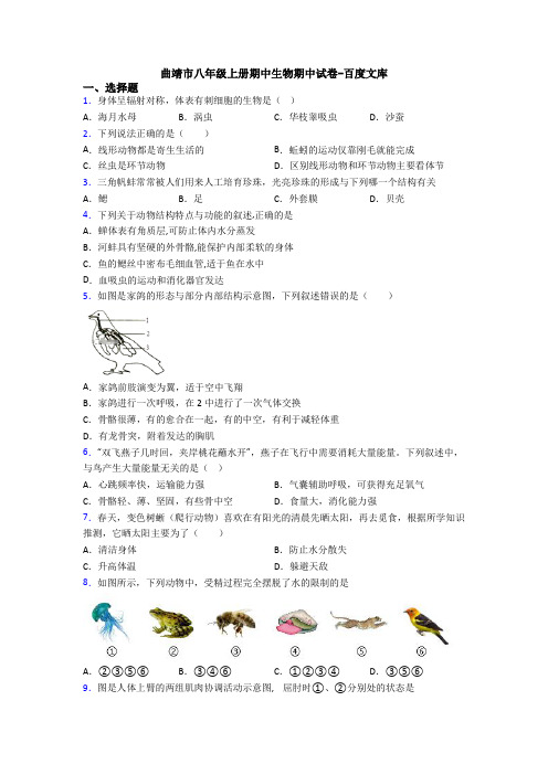 曲靖市八年级上册期中生物期中试卷-百度文库