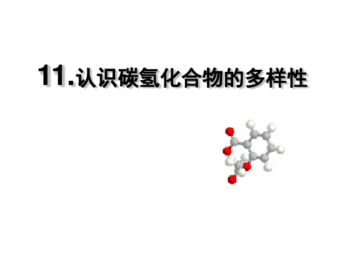 碳氢化合物的宝库石油课件