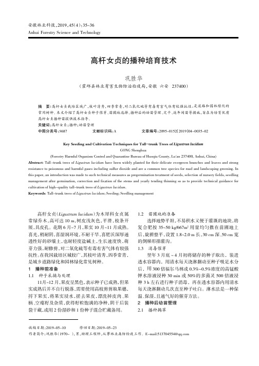 高杆女贞的播种培育技术