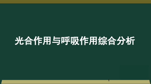 江西省新余市第四中学高三一轮复习生物必修一课件：第5章光合作用与呼吸作用综合分析(共32张PPT)