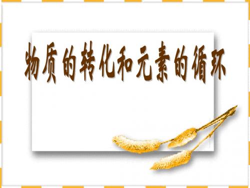 物质的转化和循环--华师大版(新编201908)