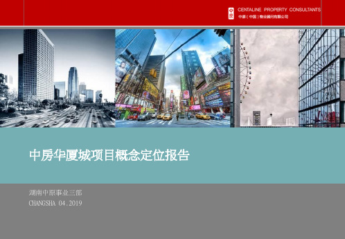 2019长沙中房华厦城项目概念定位报告