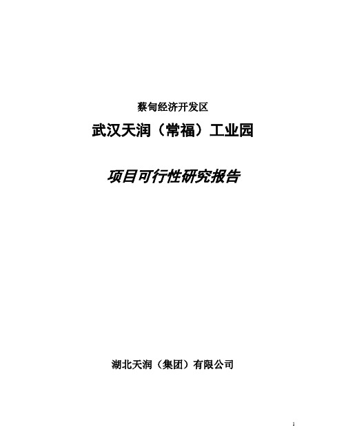 武汉天润工业园可行性研究报告