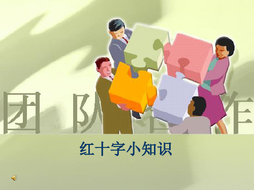 红十字介绍