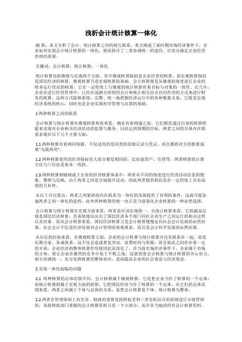 浅析会计统计核算一体化
