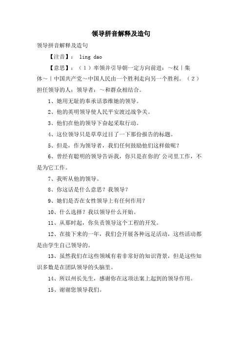 领导拼音解释及造句