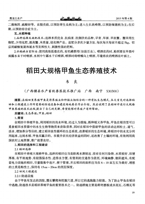 稻田大规格甲鱼生态养殖技术