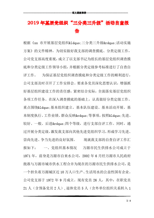2019年基层党组织“三分类三升级”活动自查报告