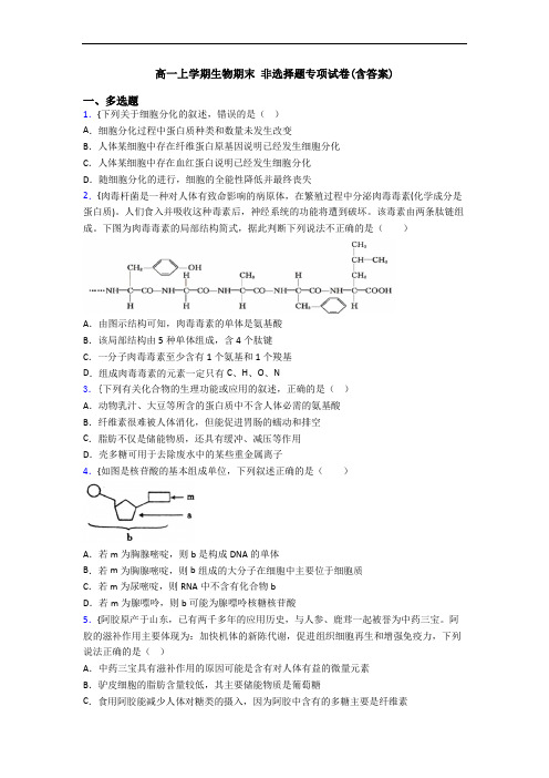高一上学期生物期末 非选择题专项试卷(含答案)