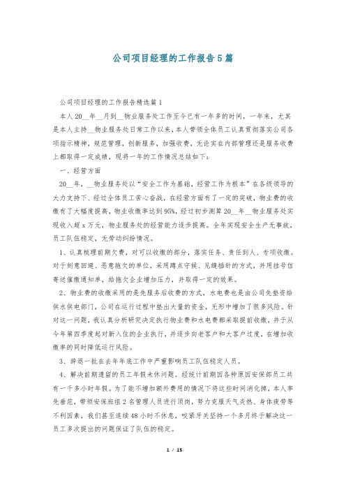 公司项目经理的工作报告5篇
