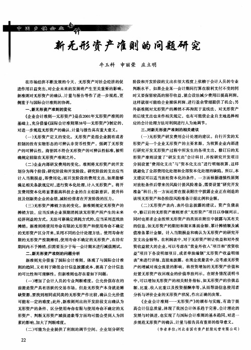 新无形资产准则的问题研究