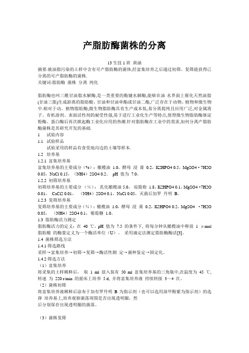 产脂肪酶菌株的分离