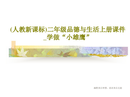 (人教新课标)二年级品德与生活上册课件_学做“小雄鹰”19页PPT