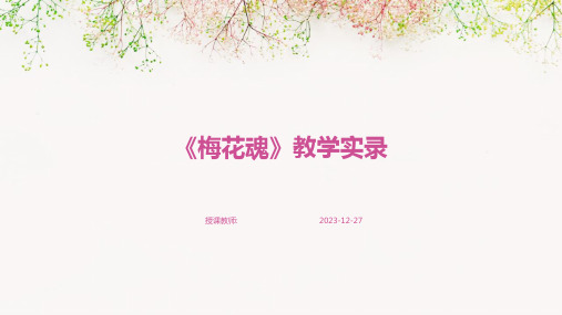 《梅花魂》教学实录
