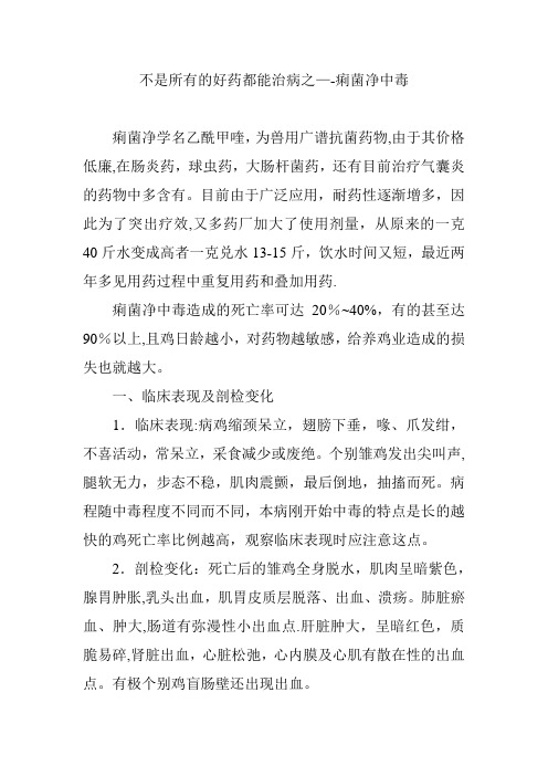 痢菌净中毒