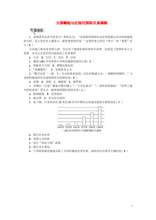 中考历史专题复习五大国崛起与近现代国际关系演练