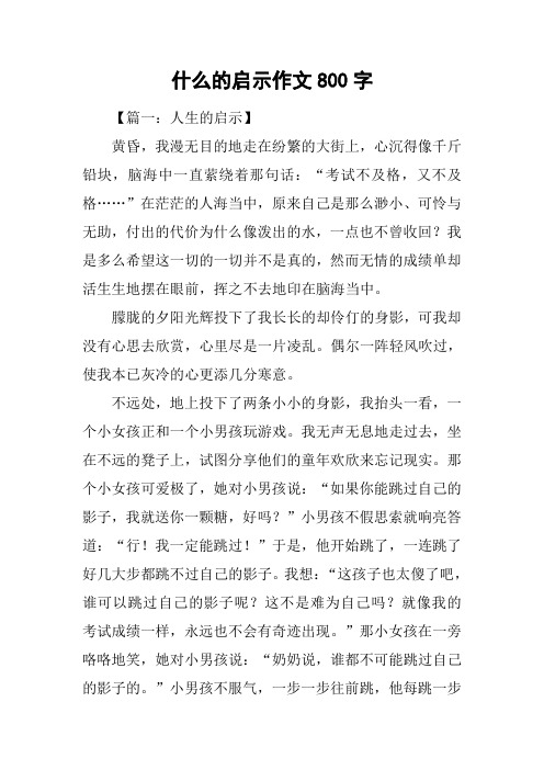 什么的启示作文800字