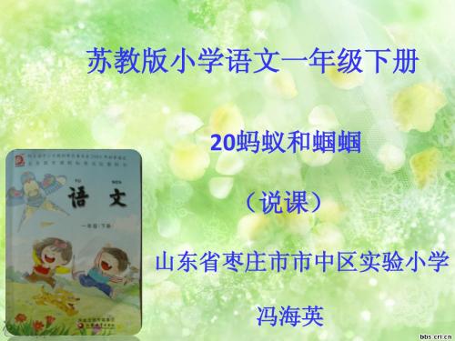 山东枣庄冯海英说课稿