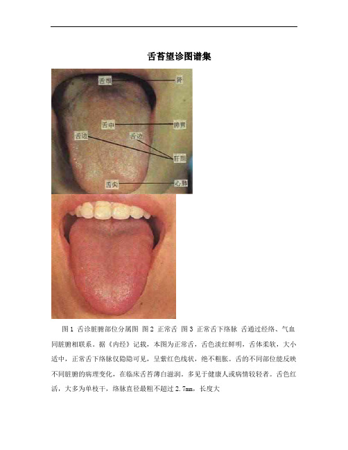 舌苔望诊图谱集