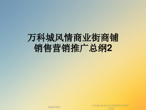 万科城风情商业街商铺销售营销推广总纲2