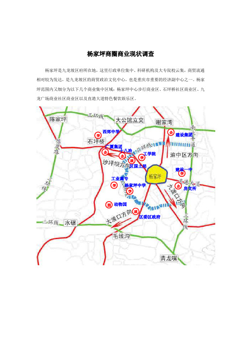杨家坪商圈商业现状调查