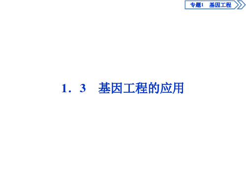 1.3基因工程的应用课件PPT