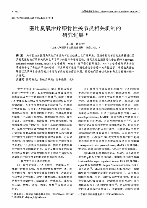 医用臭氧治疗膝骨性关节炎相关机制的研究进展