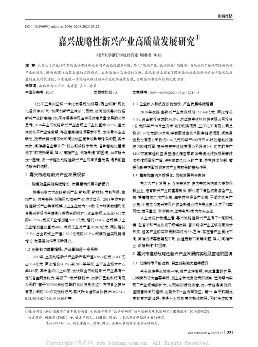 嘉兴战略性新兴产业高质量发展研究