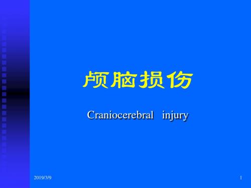 医学课件颅脑损伤ppt课件
